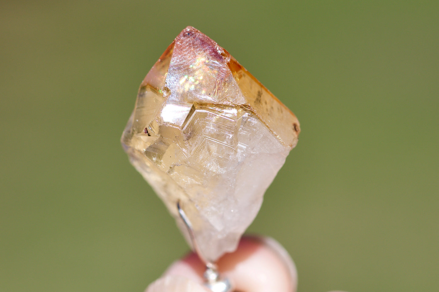 Dravite (Brown Tourmaline), Citrine Crystal Point, Thai and Sterling Silver Pendulum