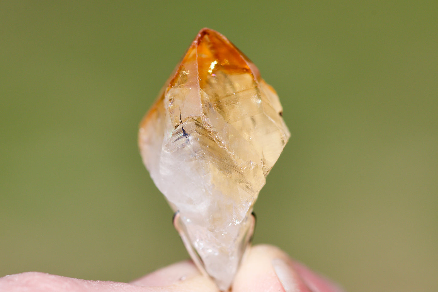 Dravite (Brown Tourmaline), Citrine Crystal Point, Thai and Sterling Silver Pendulum